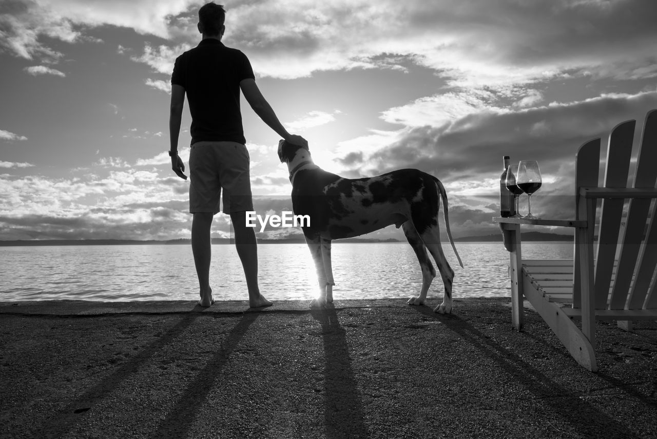 Rear view of man with dog standing by sea against sky