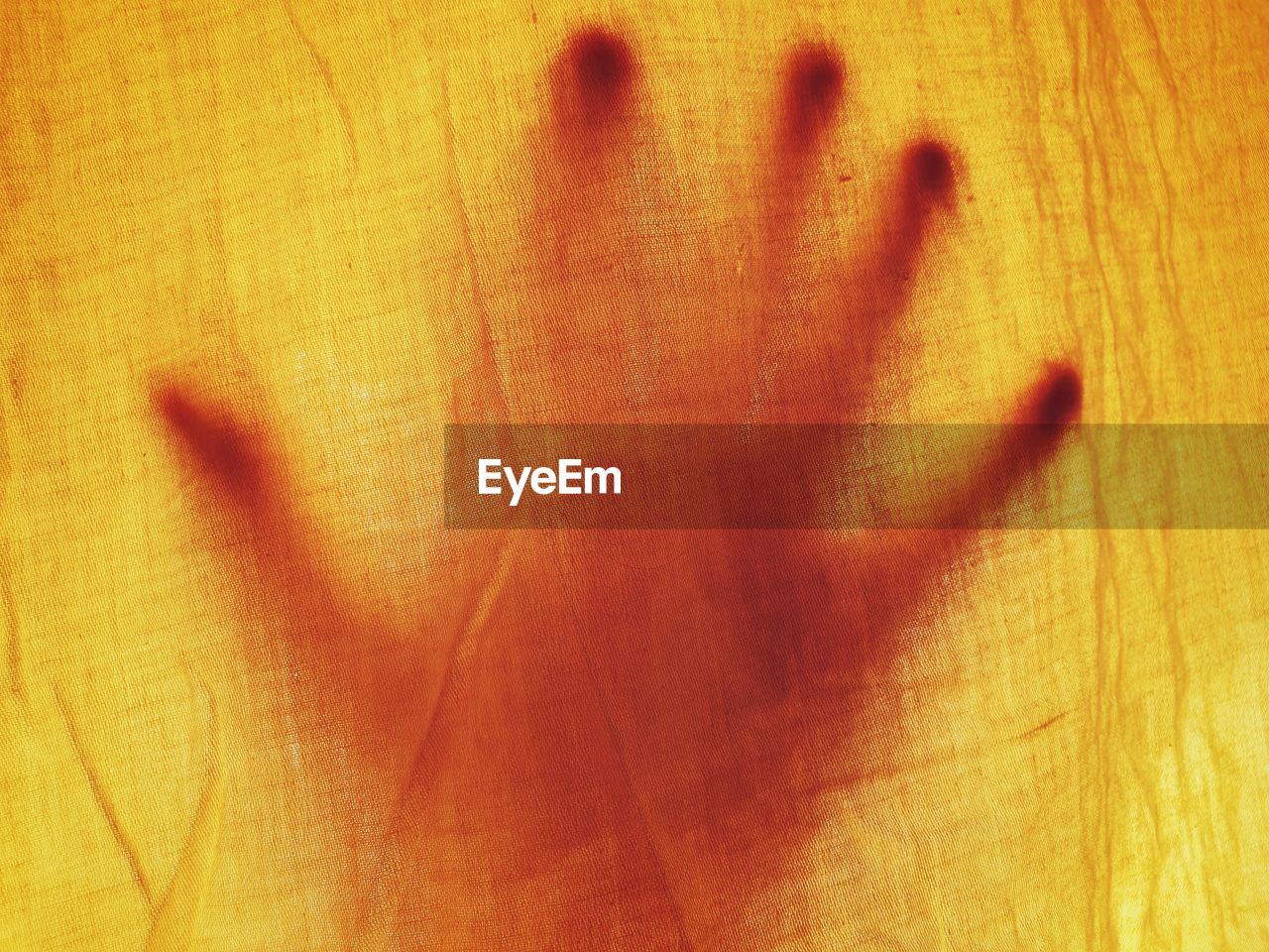 hand, yellow, finger, close-up, shadow, one person, indoors, leaf, skin, wood, textured, backgrounds, full frame, orange, macro photography