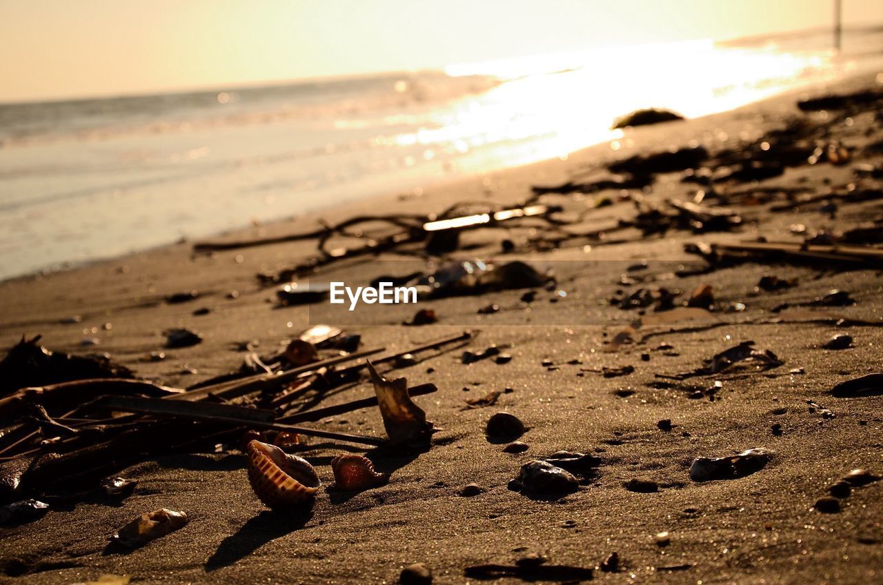 Messy beach on sunny day