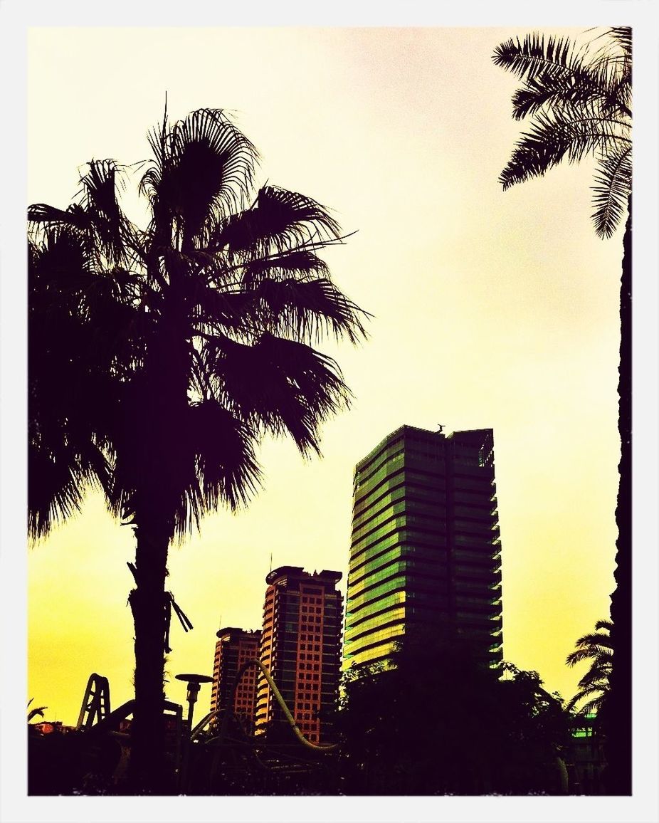 LOW ANGLE VIEW OF BUILDINGS AGAINST SKY AT SUNSET