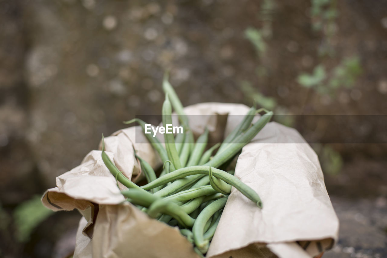 Close-up of fresh green bean on a paper bag