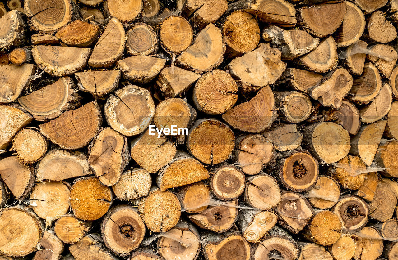 Pile of various essences of wood stacked cracked with spiderweb