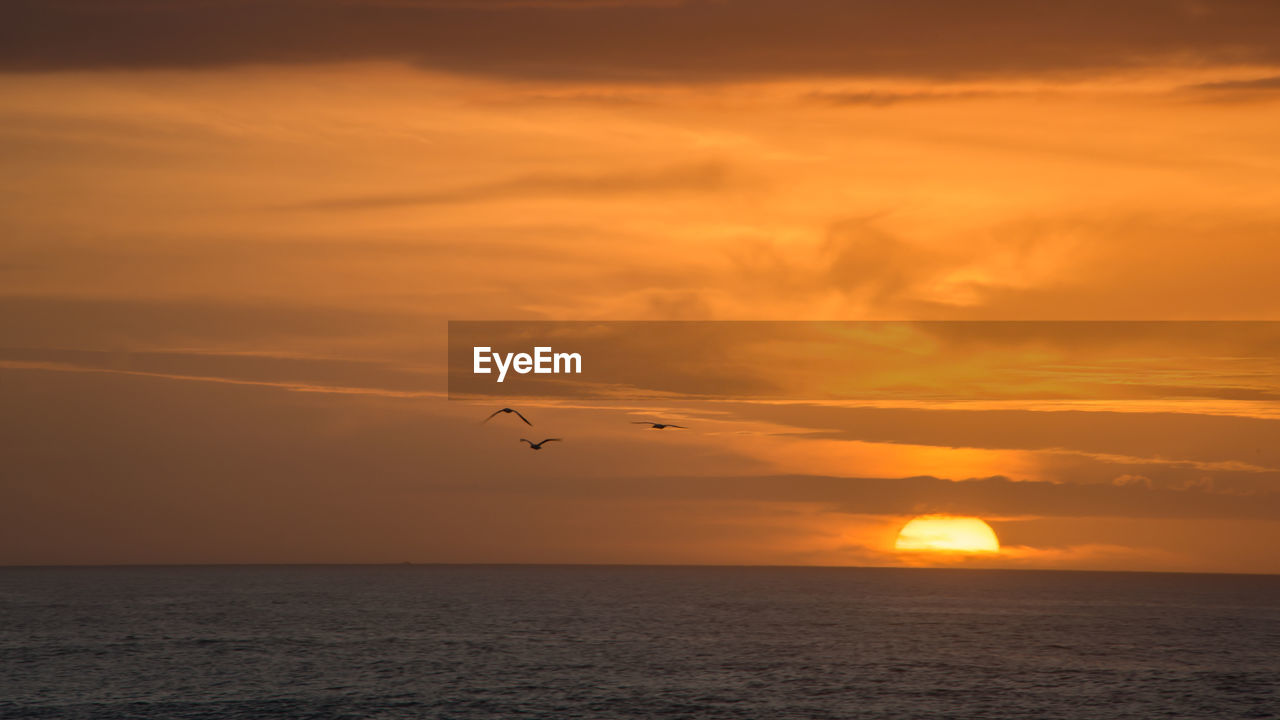 SCENIC VIEW OF SEA DURING SUNSET