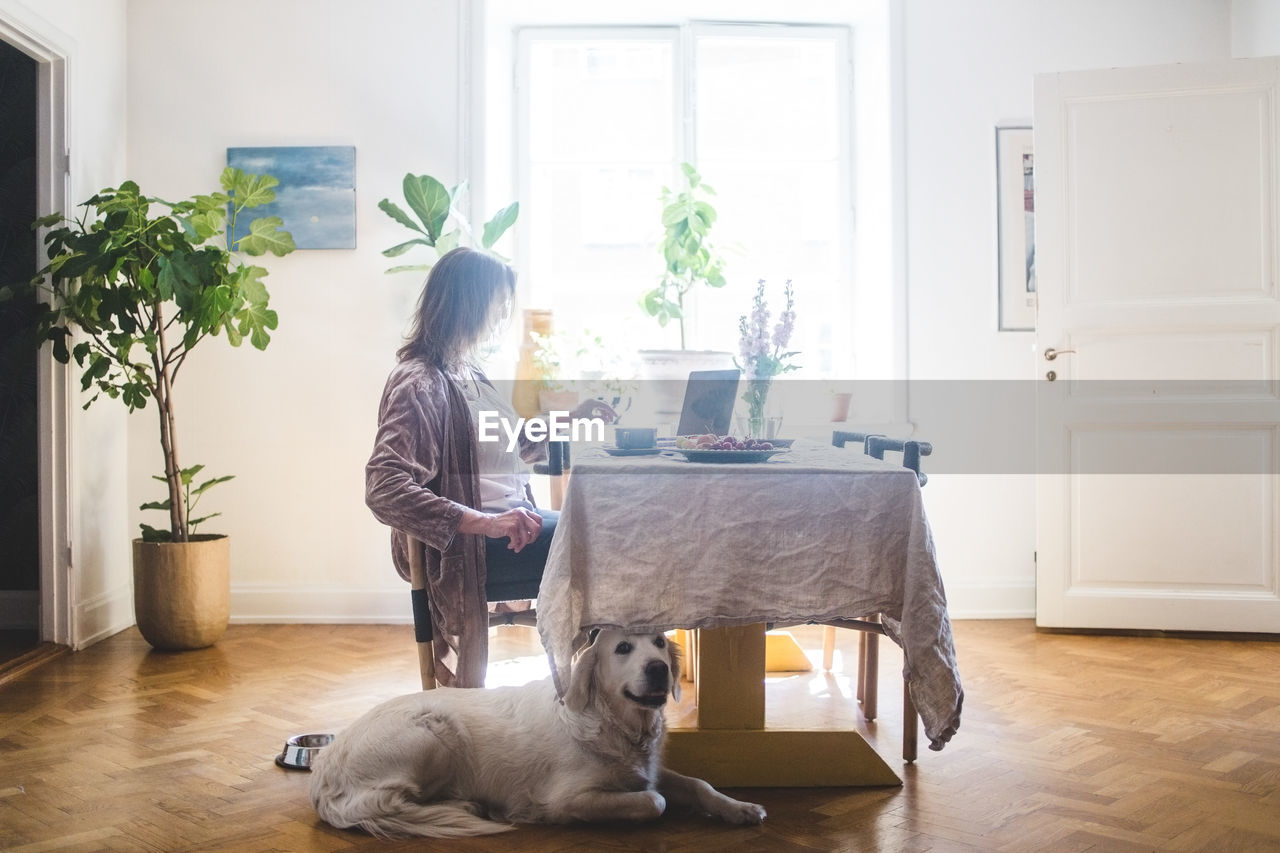 Dog sitting by woman having breakfast at table while working from home