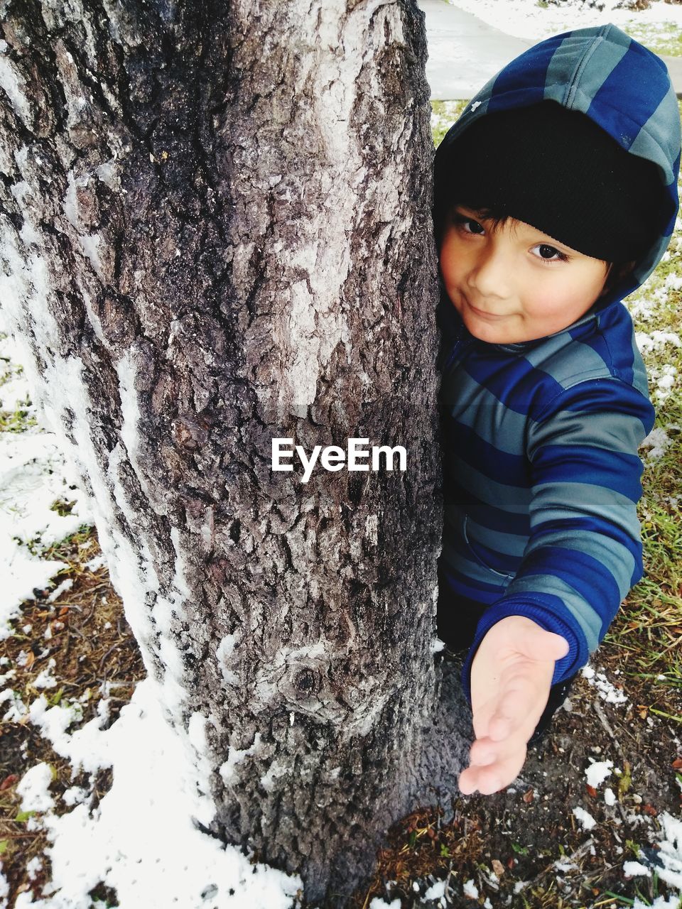 Portrait of cute boy smiling behind tree trunk