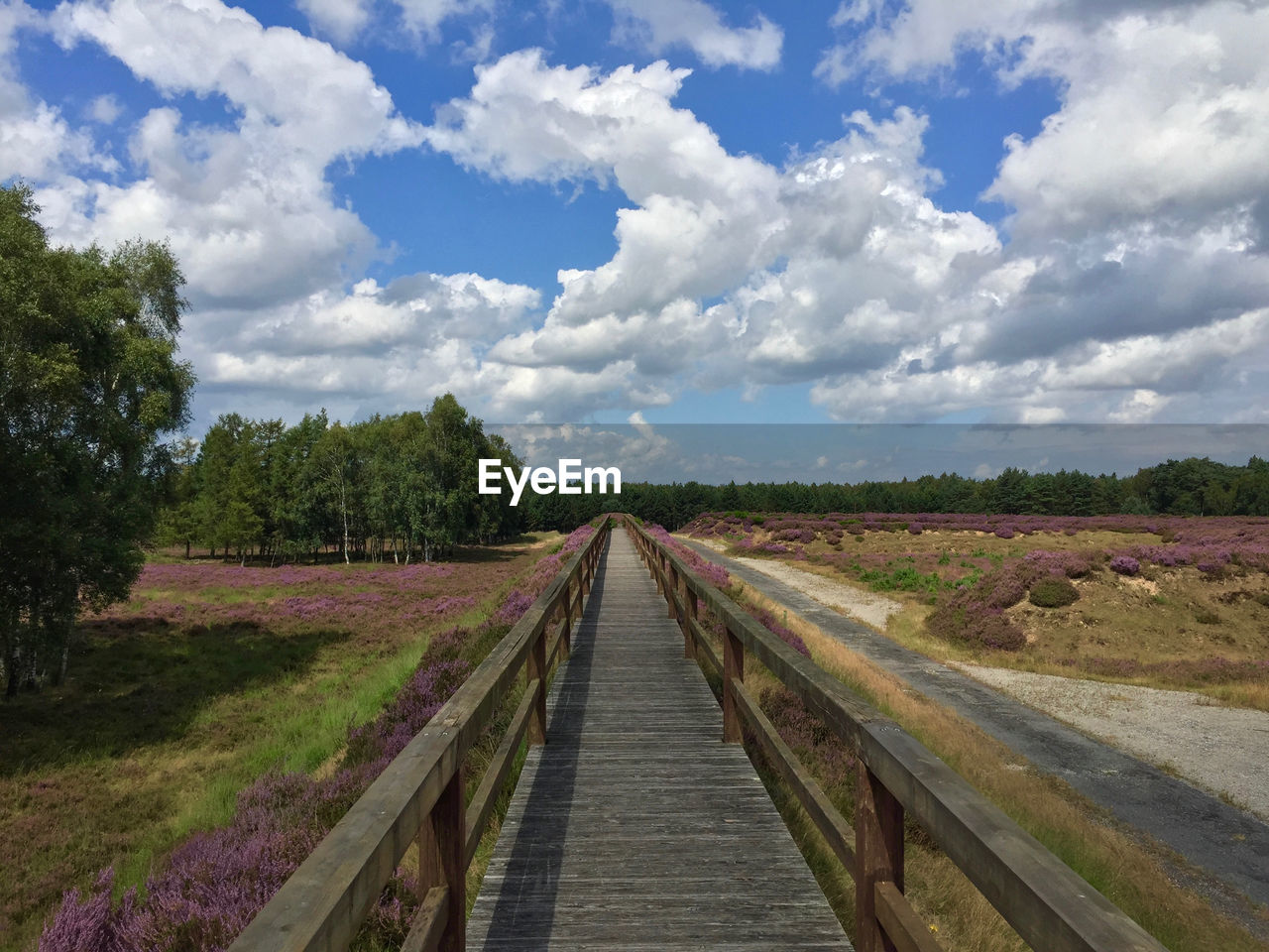 Boardwalk leading towards trees on landscape against sky