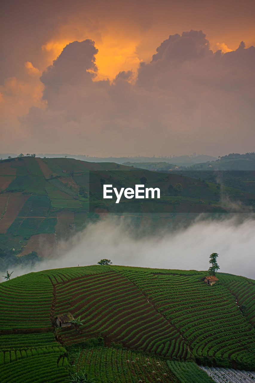 Enjoy the sunset at panyaweuyan majalengka, west java, indonesia. with an overlay of onion plants