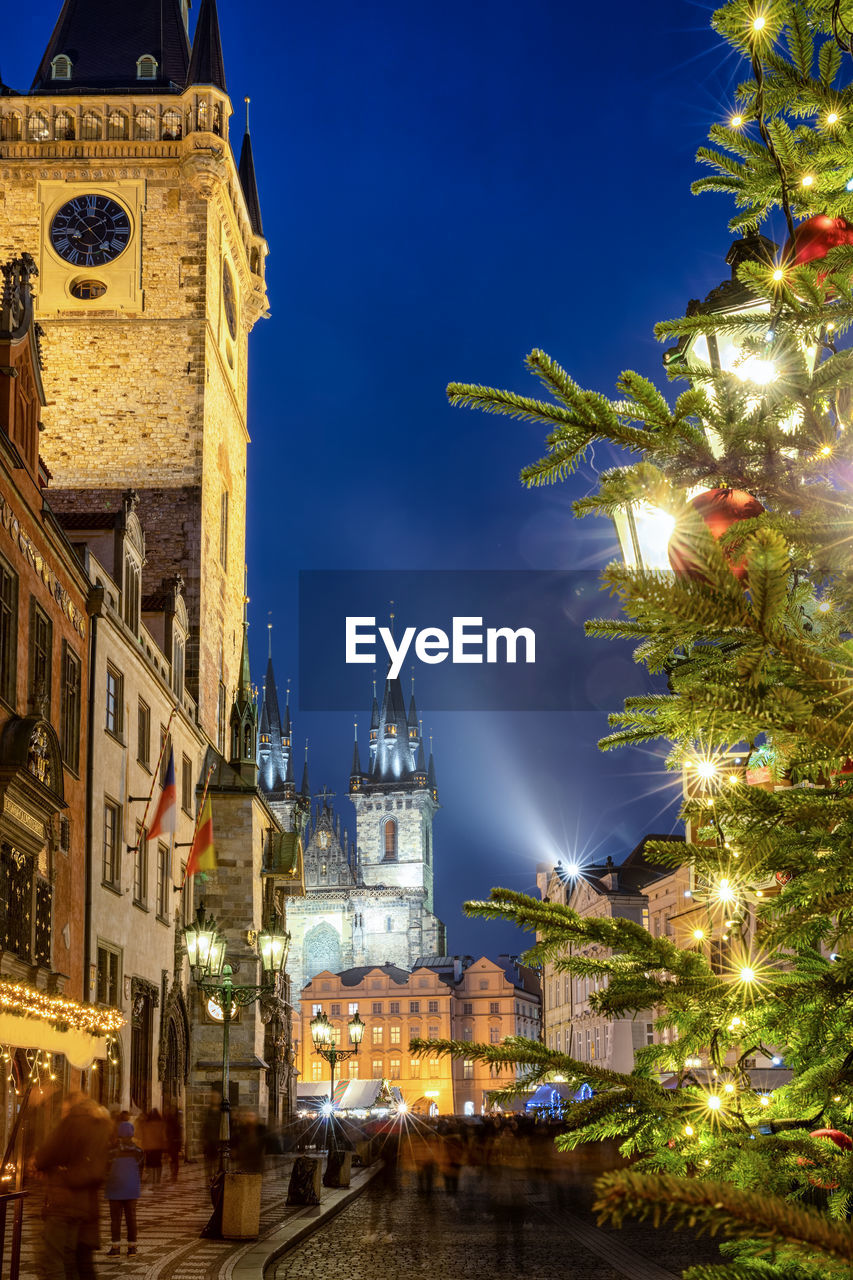 Illuminated christmas tree by buildings at night