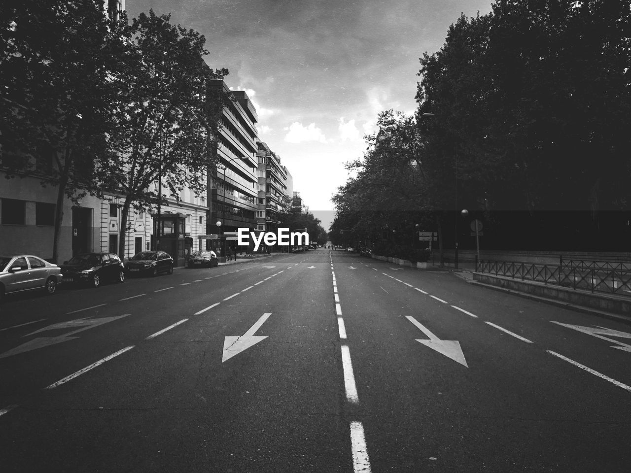 ROAD AMIDST TREES IN CITY