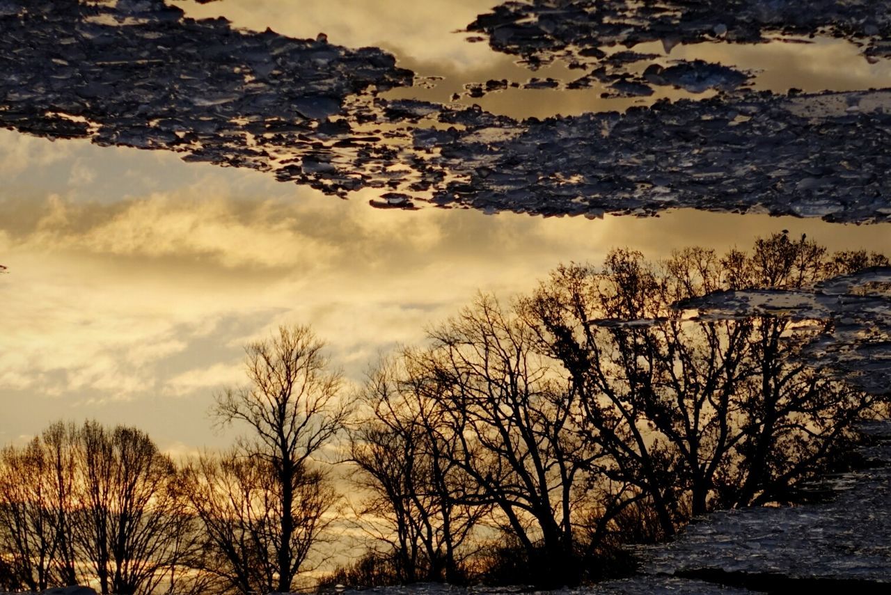 Reflection of silhouette trees on puddle during sunset