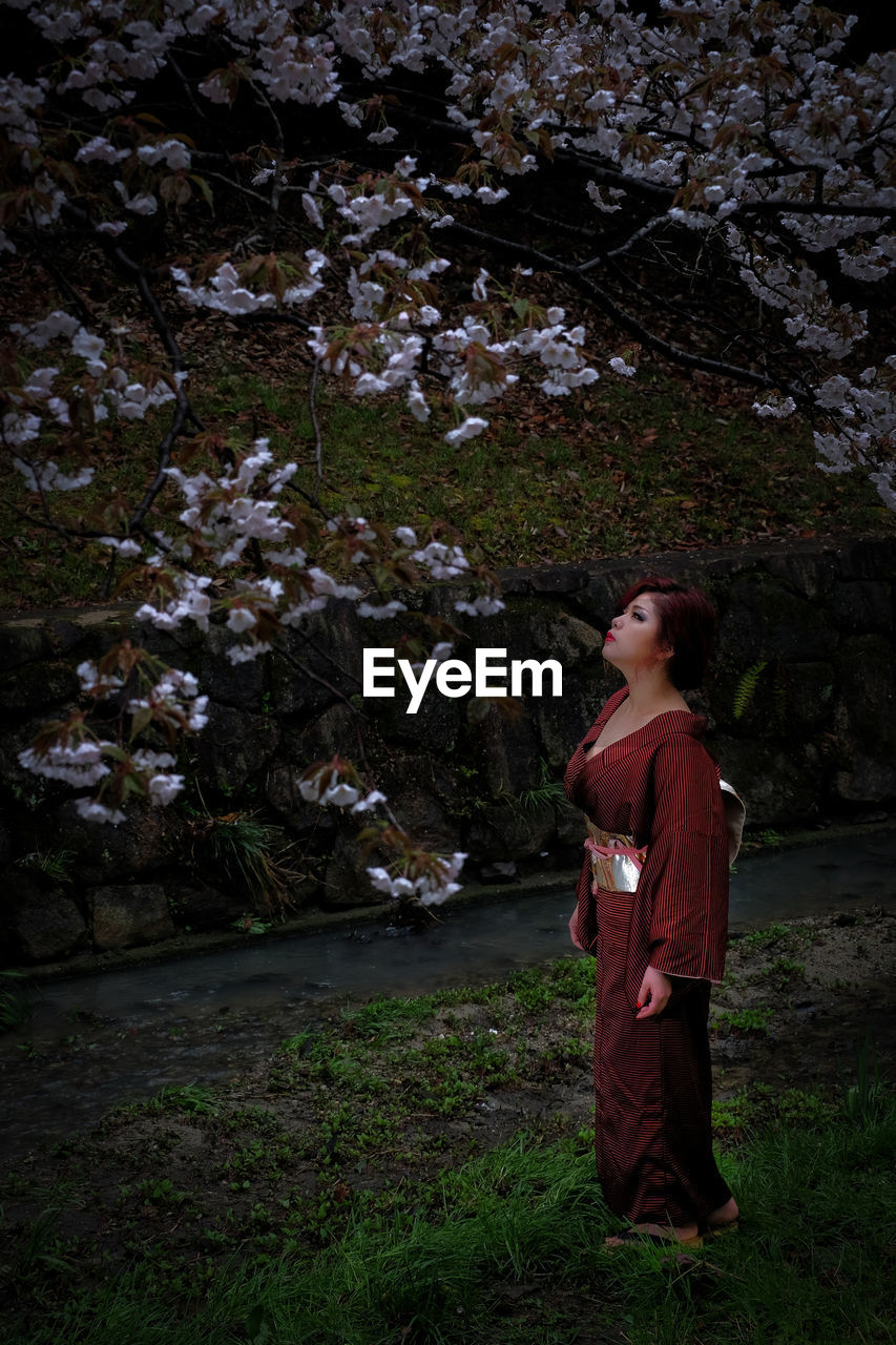 Young woman in kimono standing by flowering tree at park