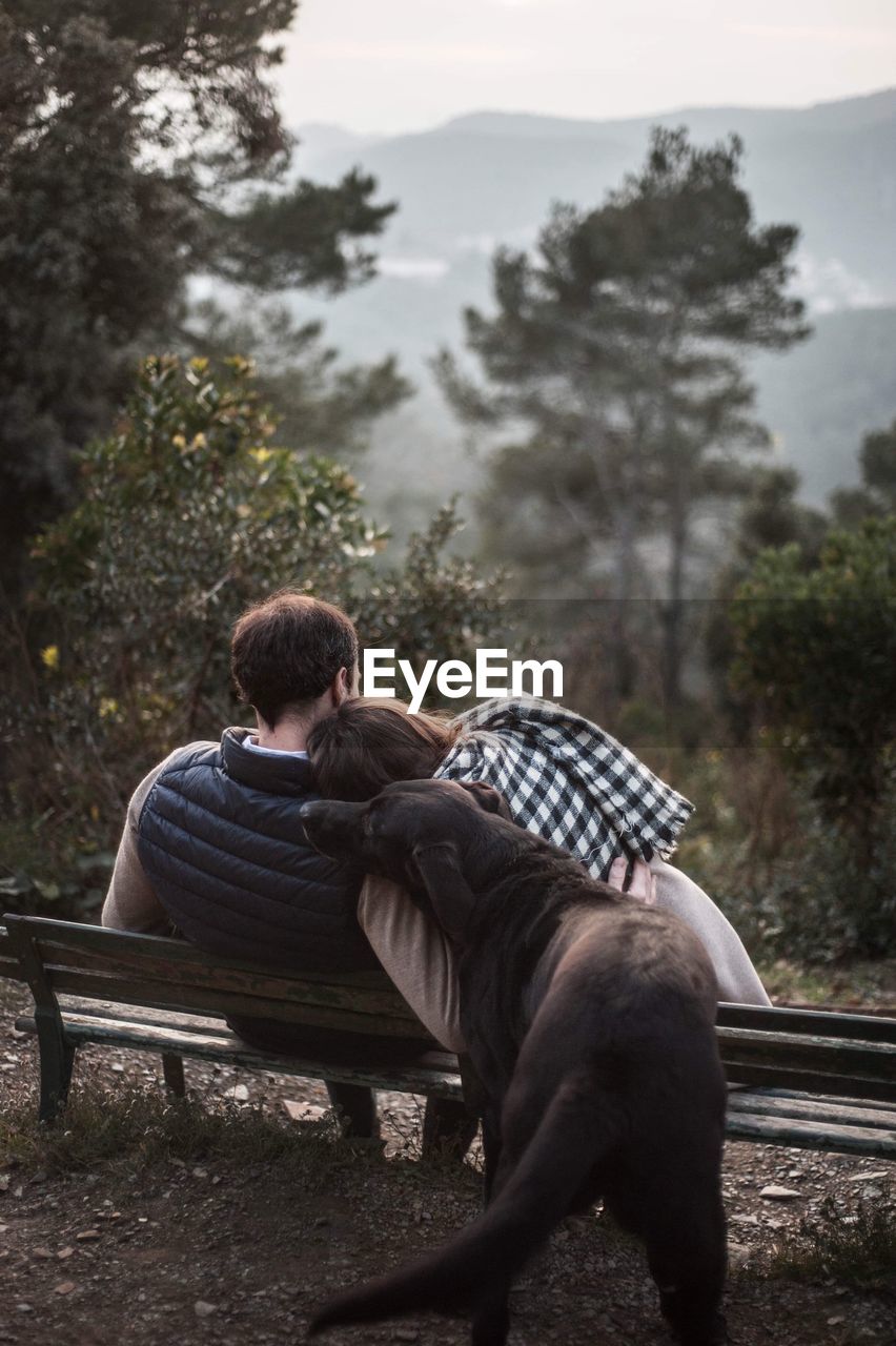 Rear view of couple with dog sitting on bench 