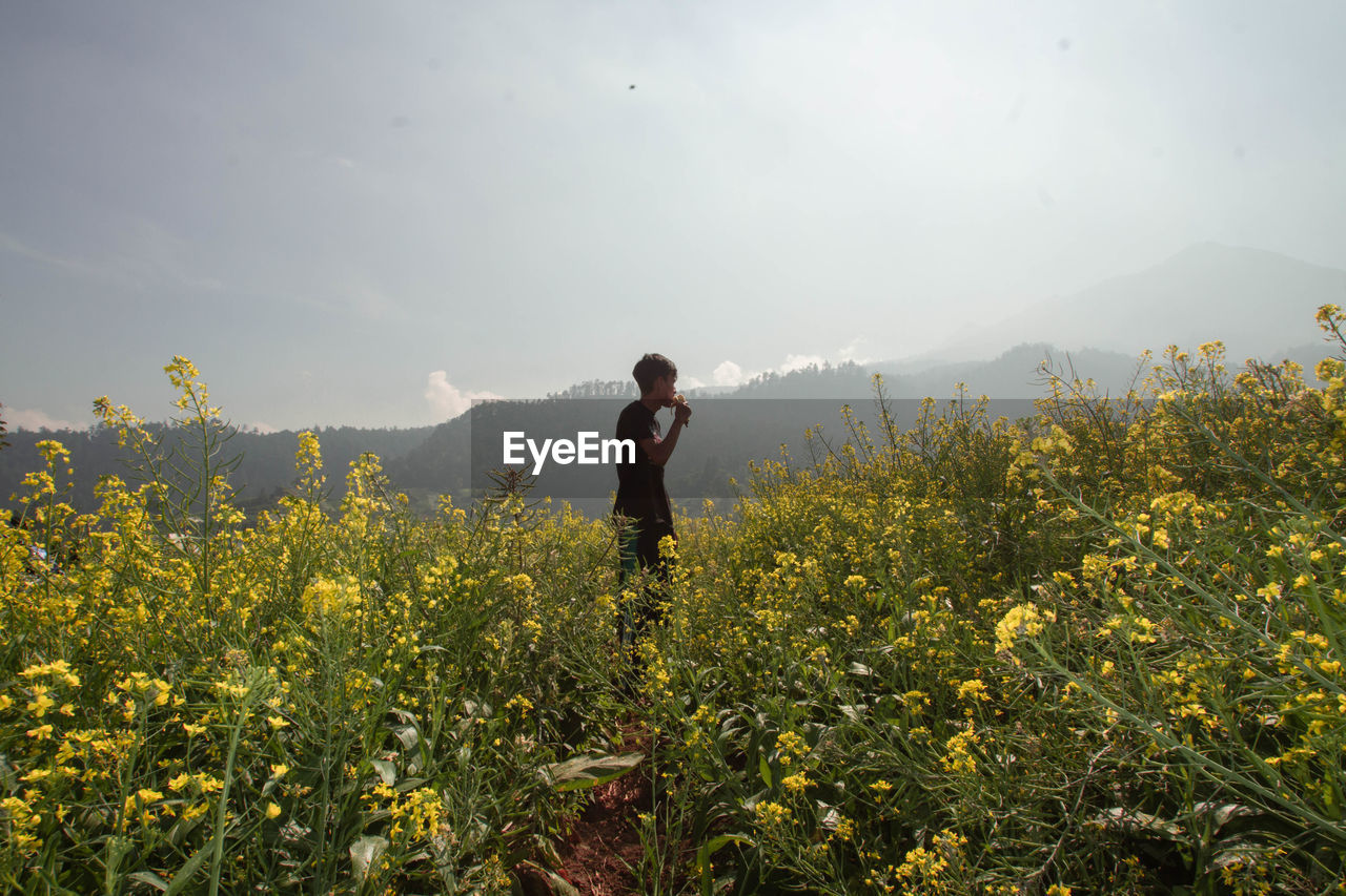 A man standing on a yellow-flower land