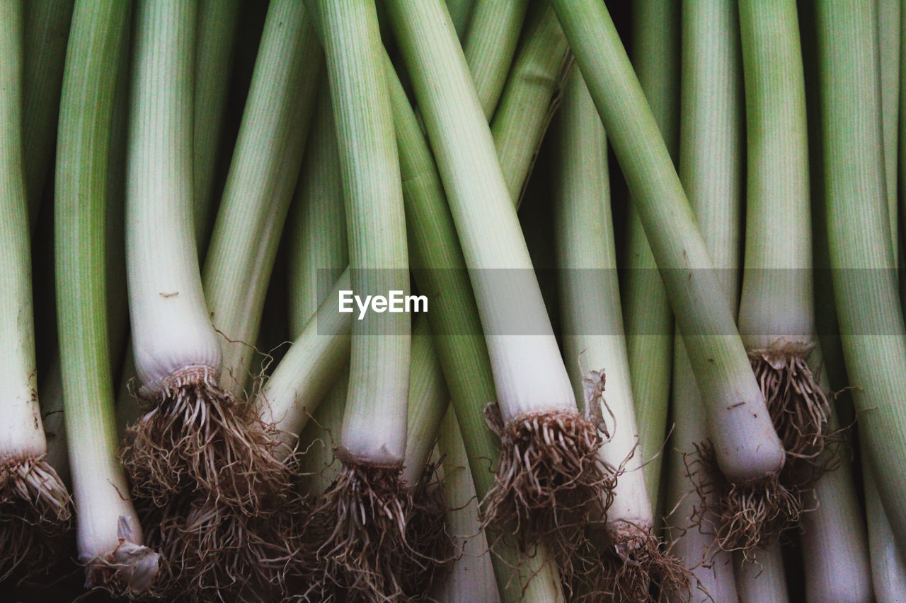 Full frame shot of spring onions for sale at market stall