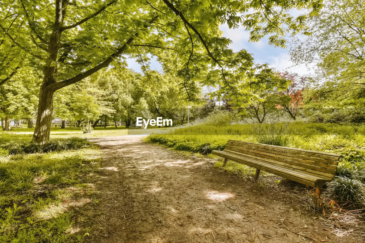 empty bench in park during autumn