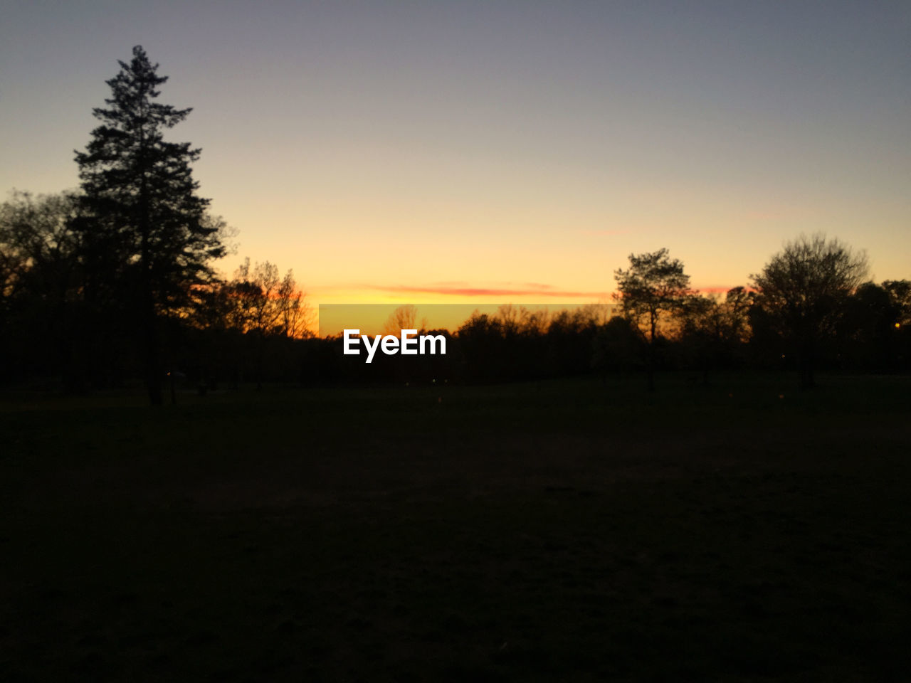 SILHOUETTE TREES ON LANDSCAPE AT SUNSET