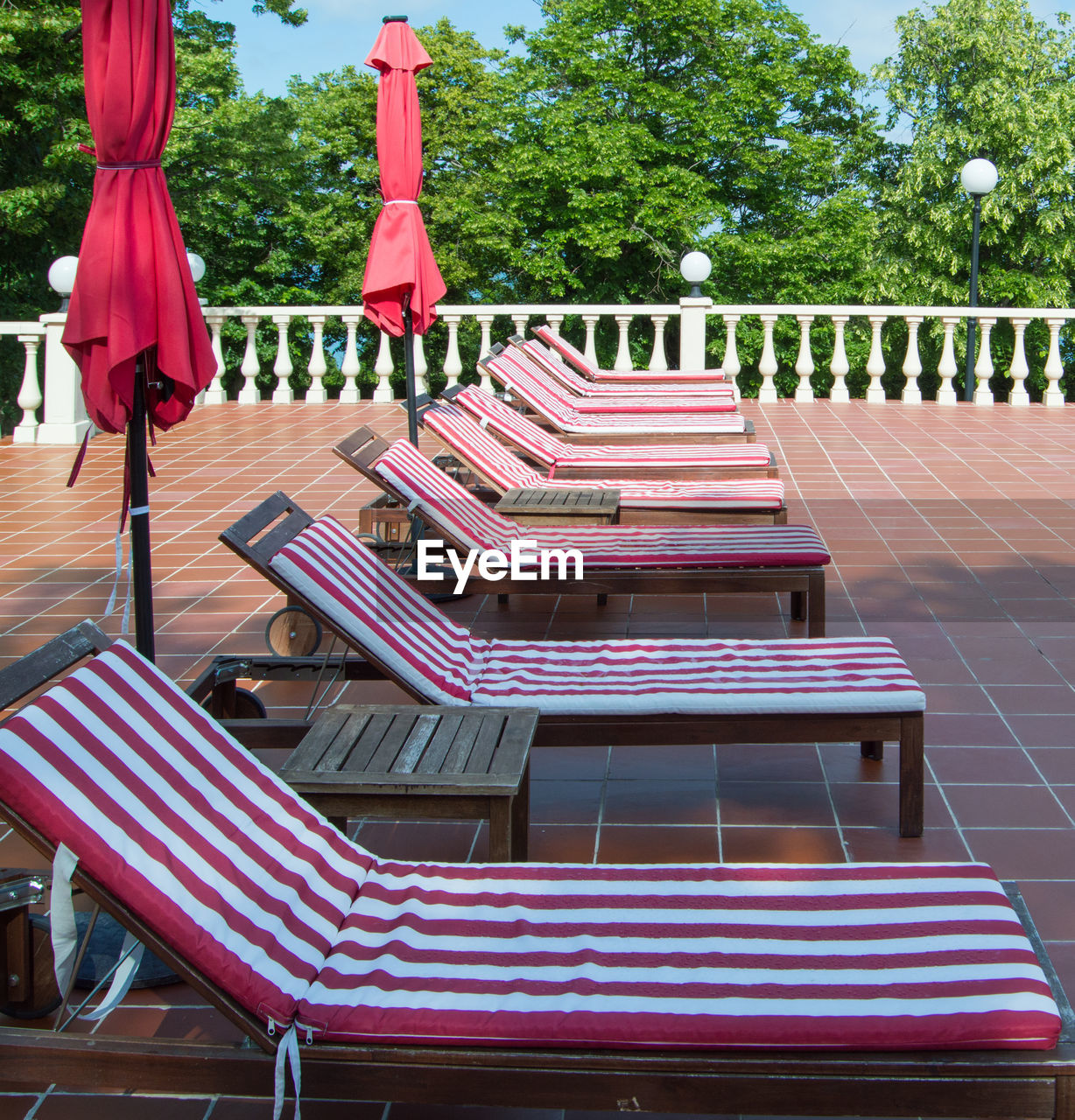 EMPTY CHAIRS ON BENCH AGAINST TREES