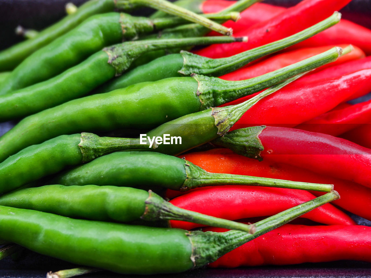 Close-up of chili peppers