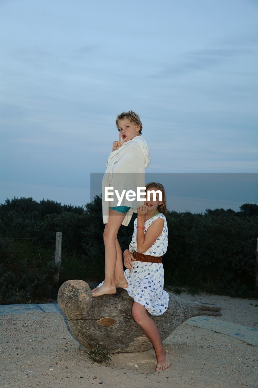 Portrait of happy siblings on wooden sculpture against sky at dusk