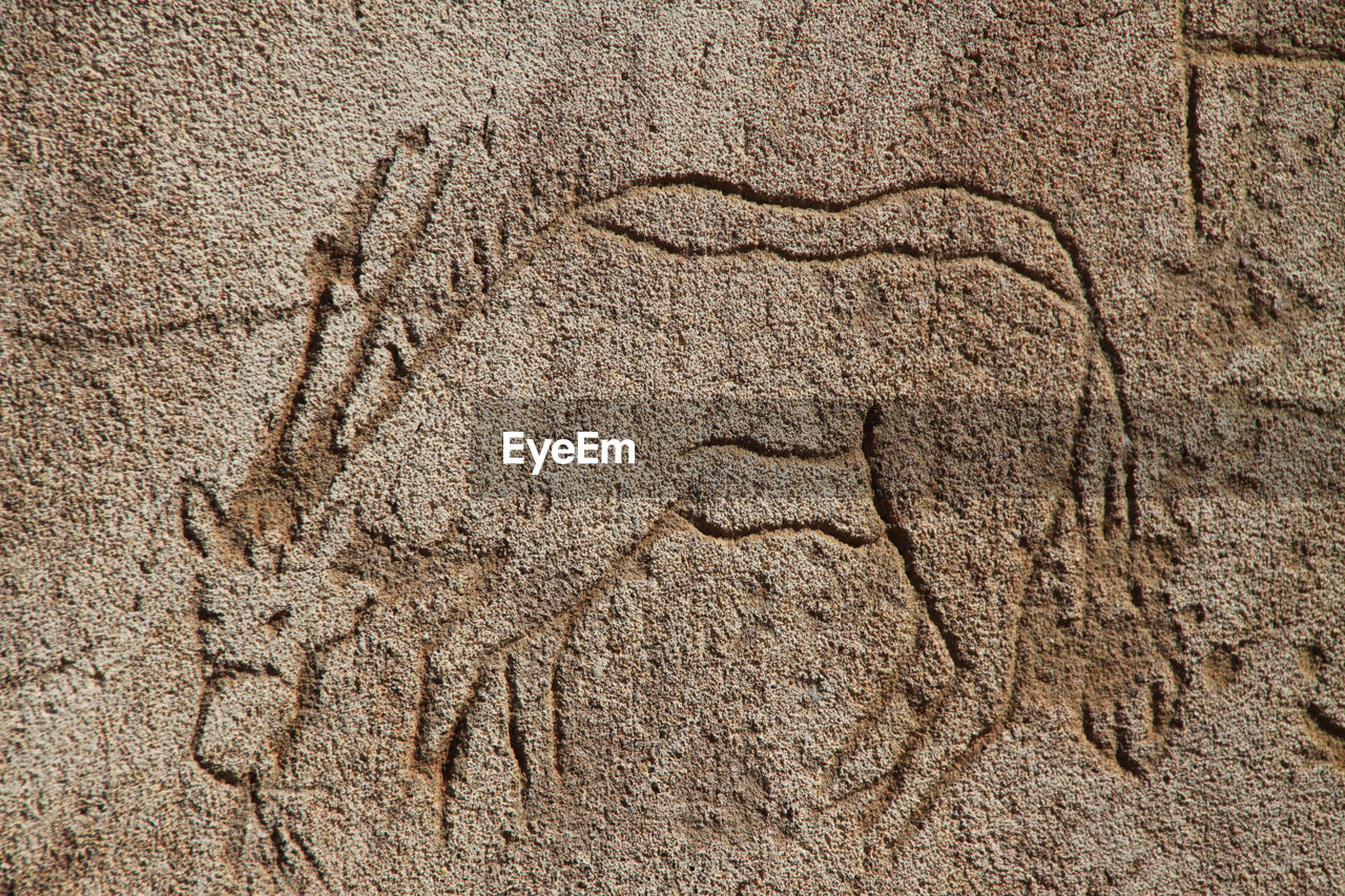 Prehistoric engraving of an oryx antelope
