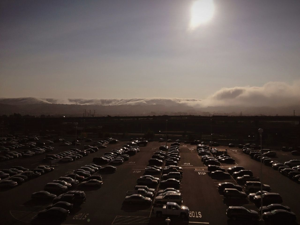 Row of cars parked in parking lot