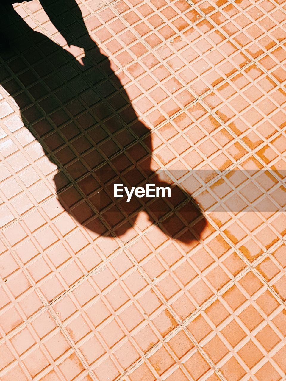 HIGH ANGLE VIEW OF SHADOW OF MAN ON TILED FLOOR