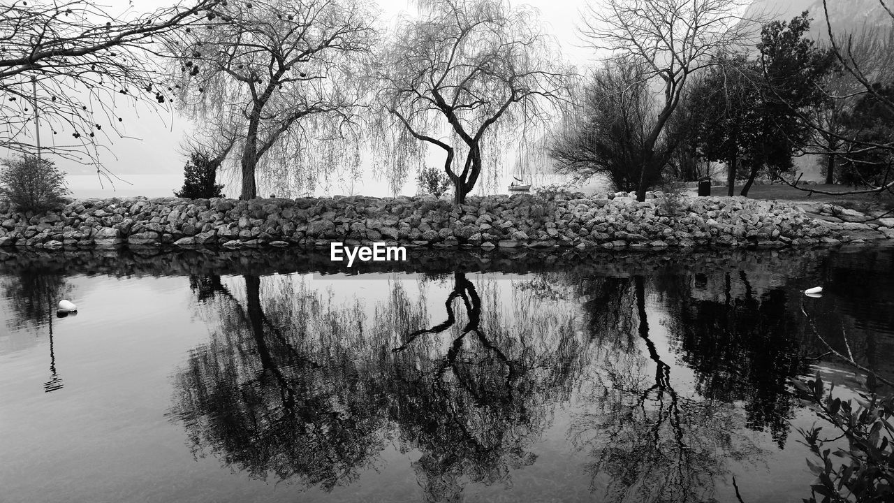 TREES BY LAKE AGAINST SKY