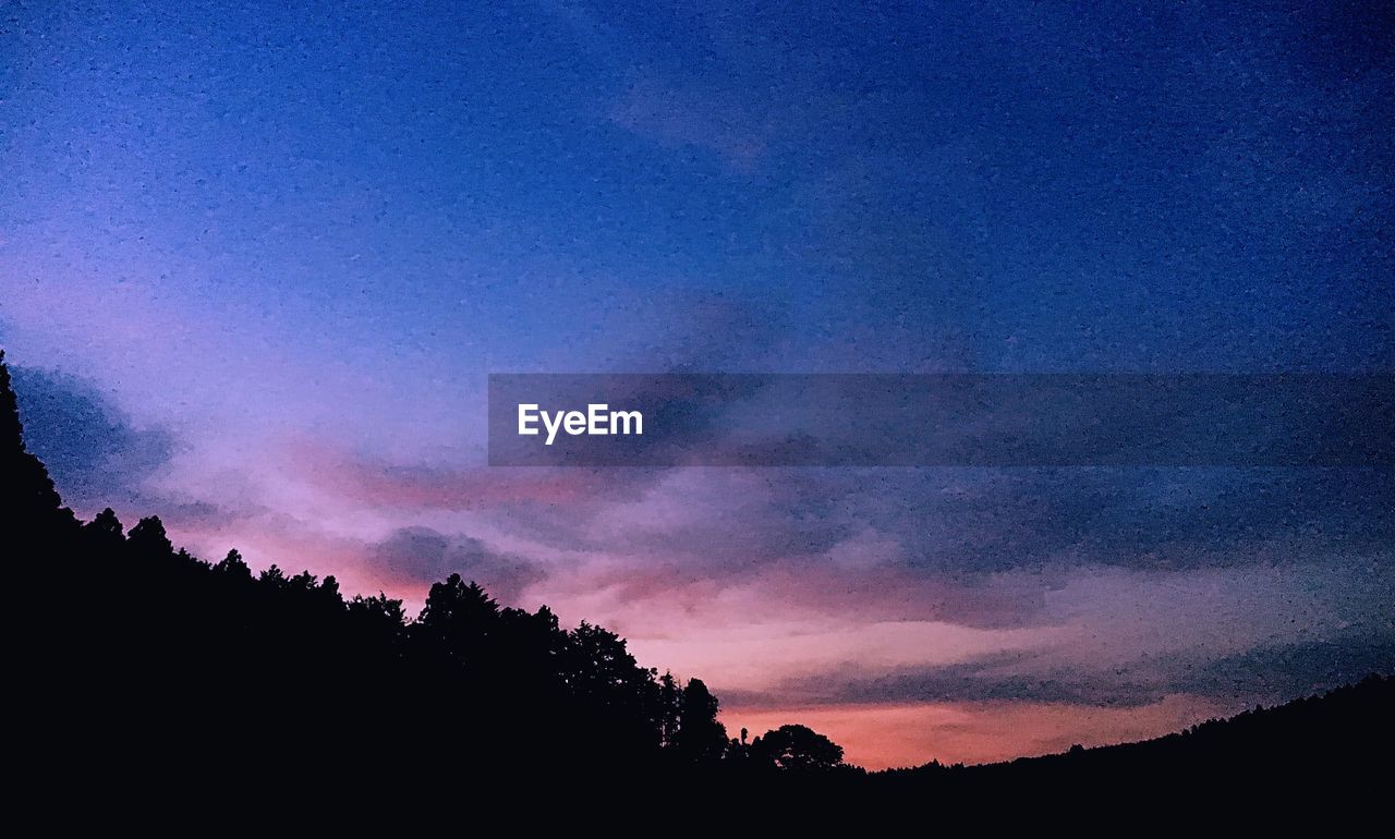 Silhouette trees against sky at sunset