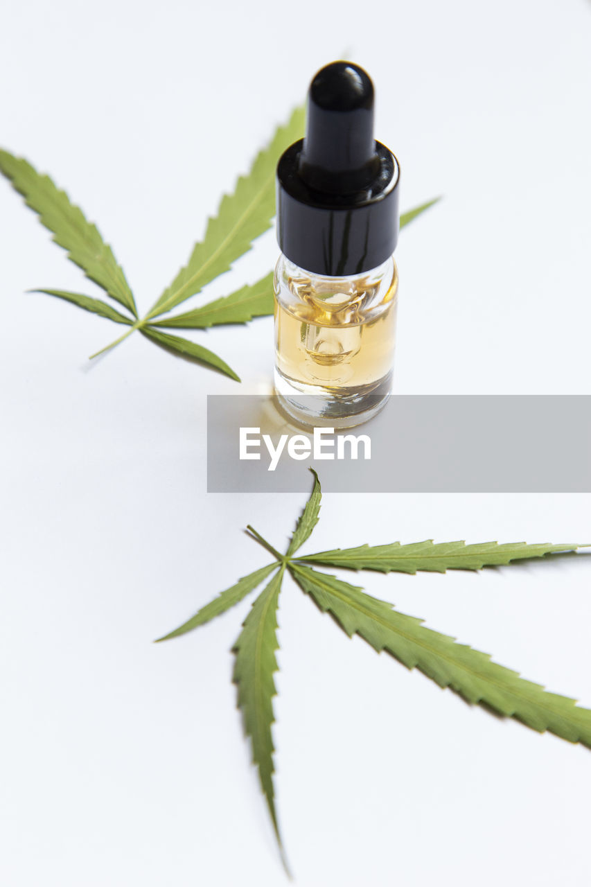 Medicinal cannabis with oil in a bottle on white background.