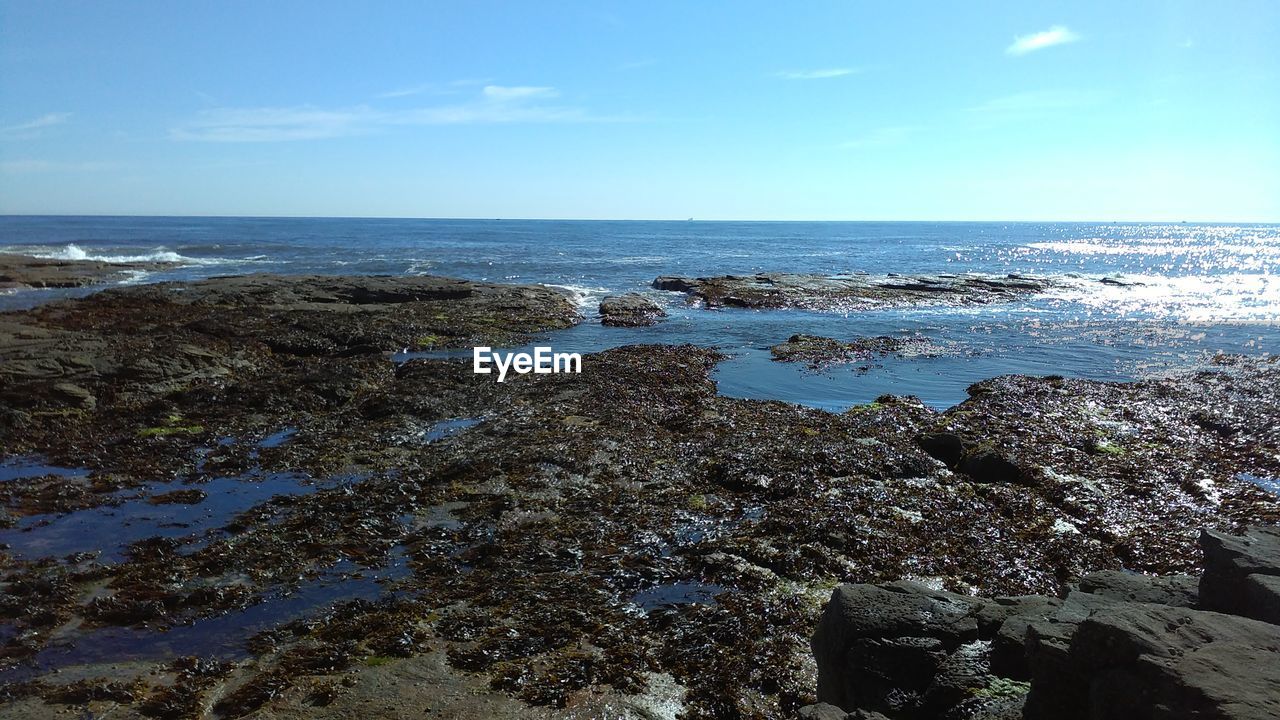 Scenic view of sea against blue sky