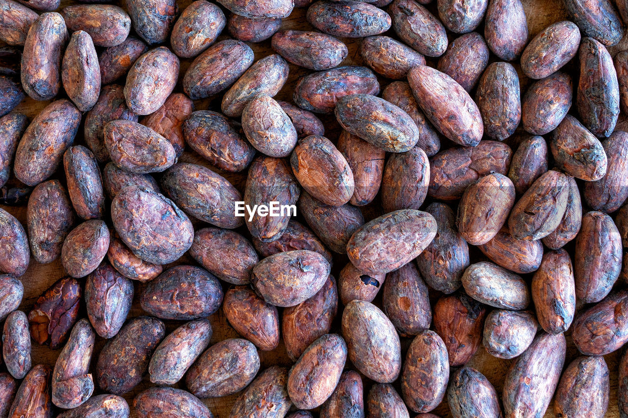 Background pattern of fried cocoa beans. fragrant organic cocoa for making chocolate