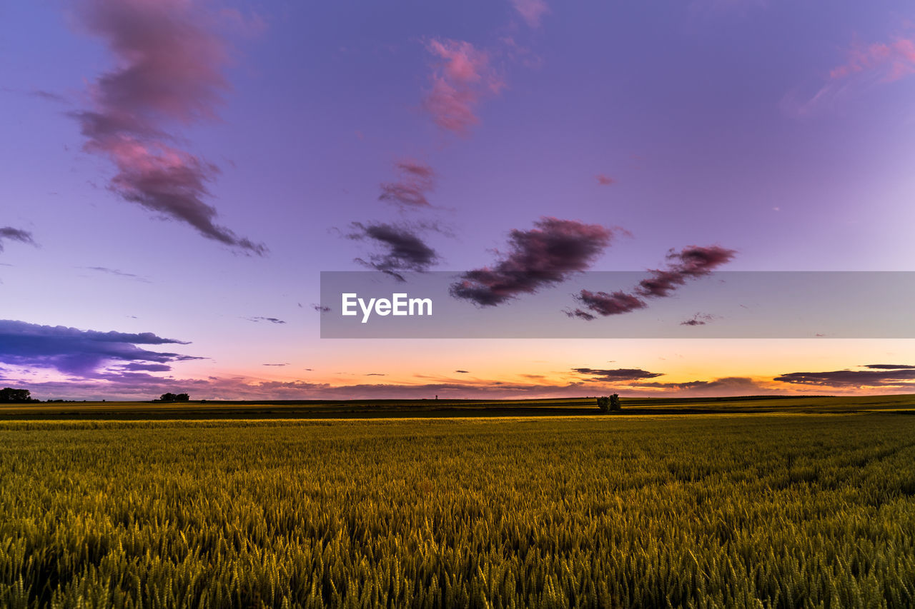 Scenic view of field against cloudy sky