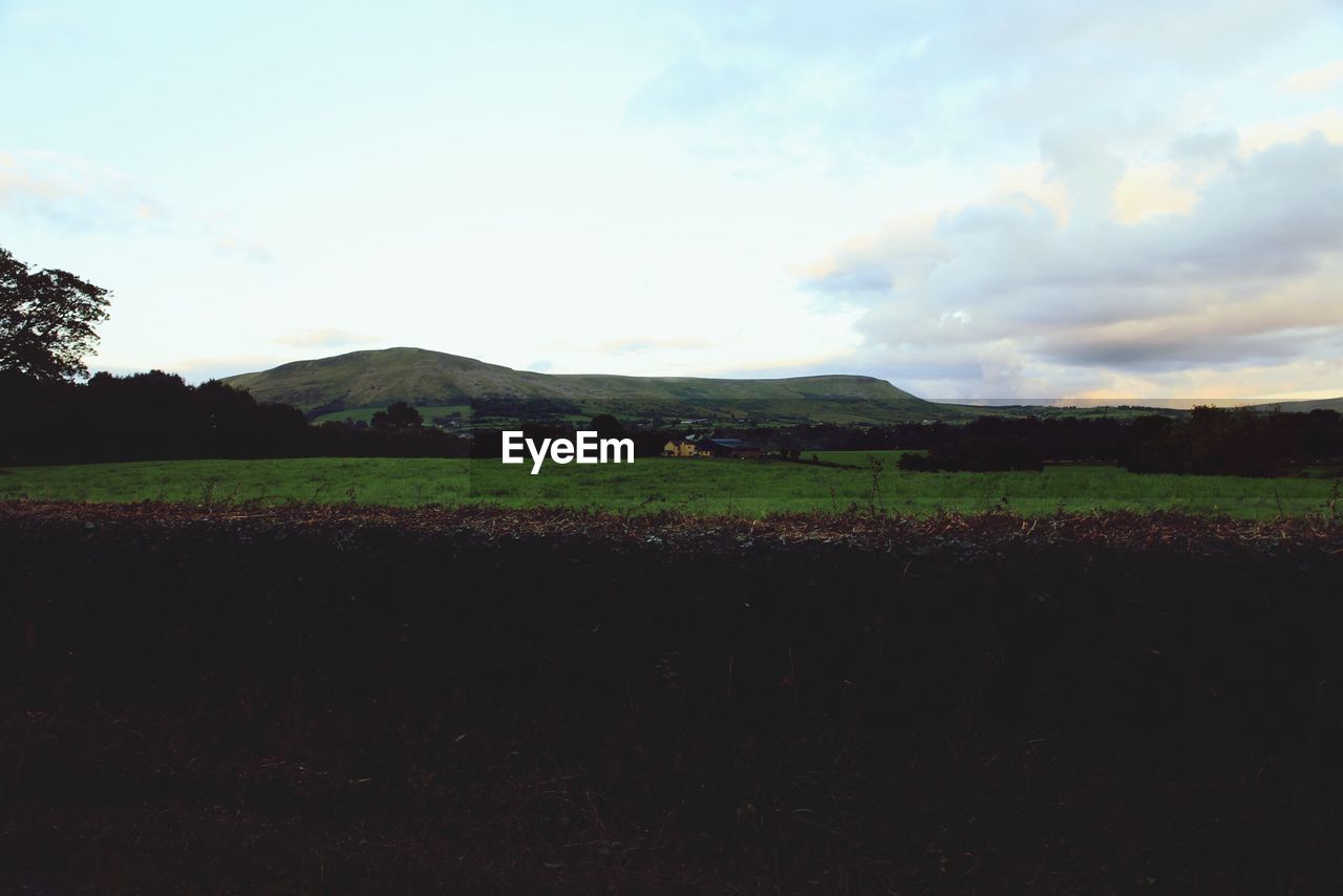 SCENIC VIEW OF RURAL LANDSCAPE