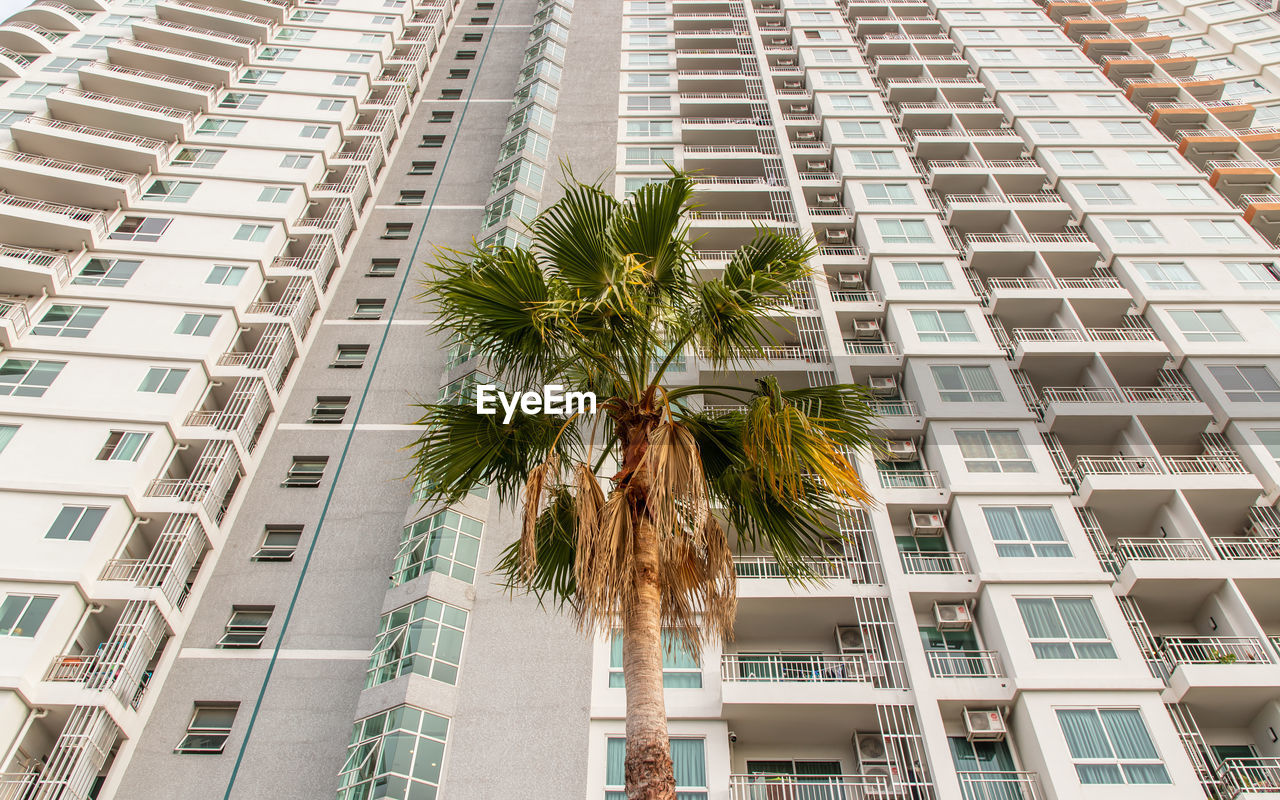 LOW ANGLE VIEW OF PALM TREES AND MODERN BUILDINGS