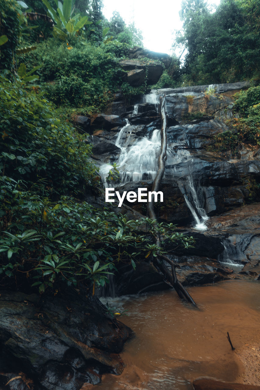plant, tree, waterfall, nature, water, growth, beauty in nature, land, forest, water feature, no people, day, scenics - nature, rock, jungle, tranquility, environment, green, outdoors, non-urban scene, flowing water, stream, wilderness, body of water, tranquil scene, rainforest, motion, river, natural environment