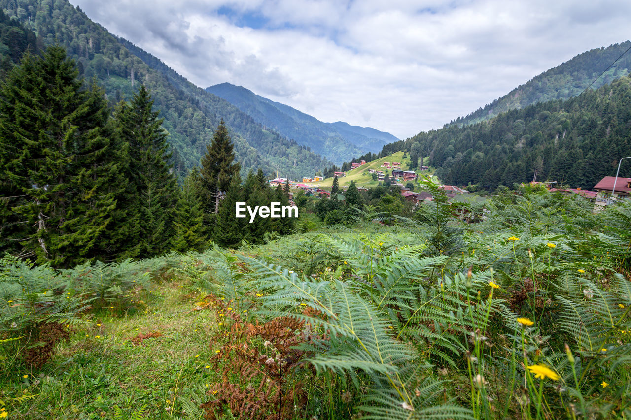 Scenic view of mountains against sky