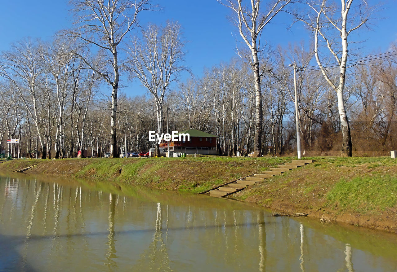 TREES BY LAKE AGAINST SKY