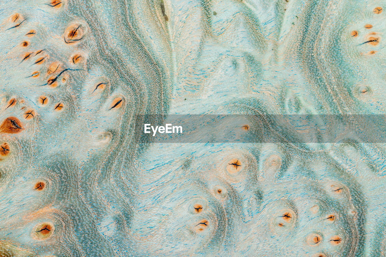 Macro photography of a stabilized wooden block with a color dye, natural wood pattern