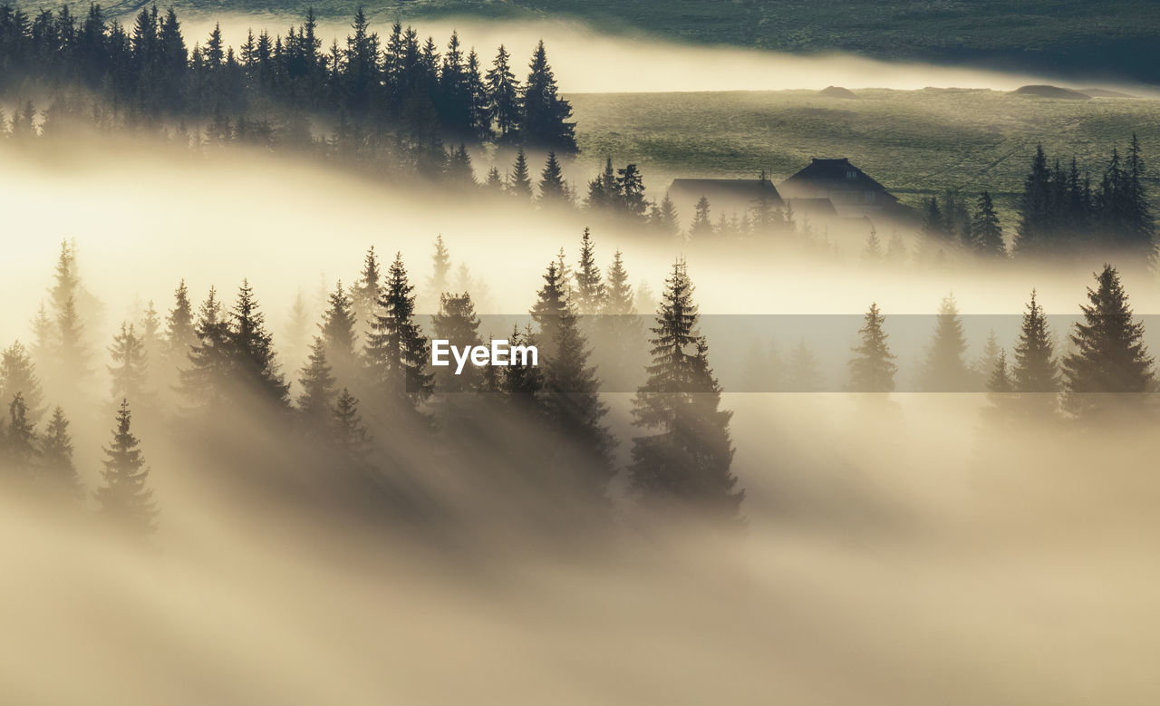 High angle view of trees on landscape against sky