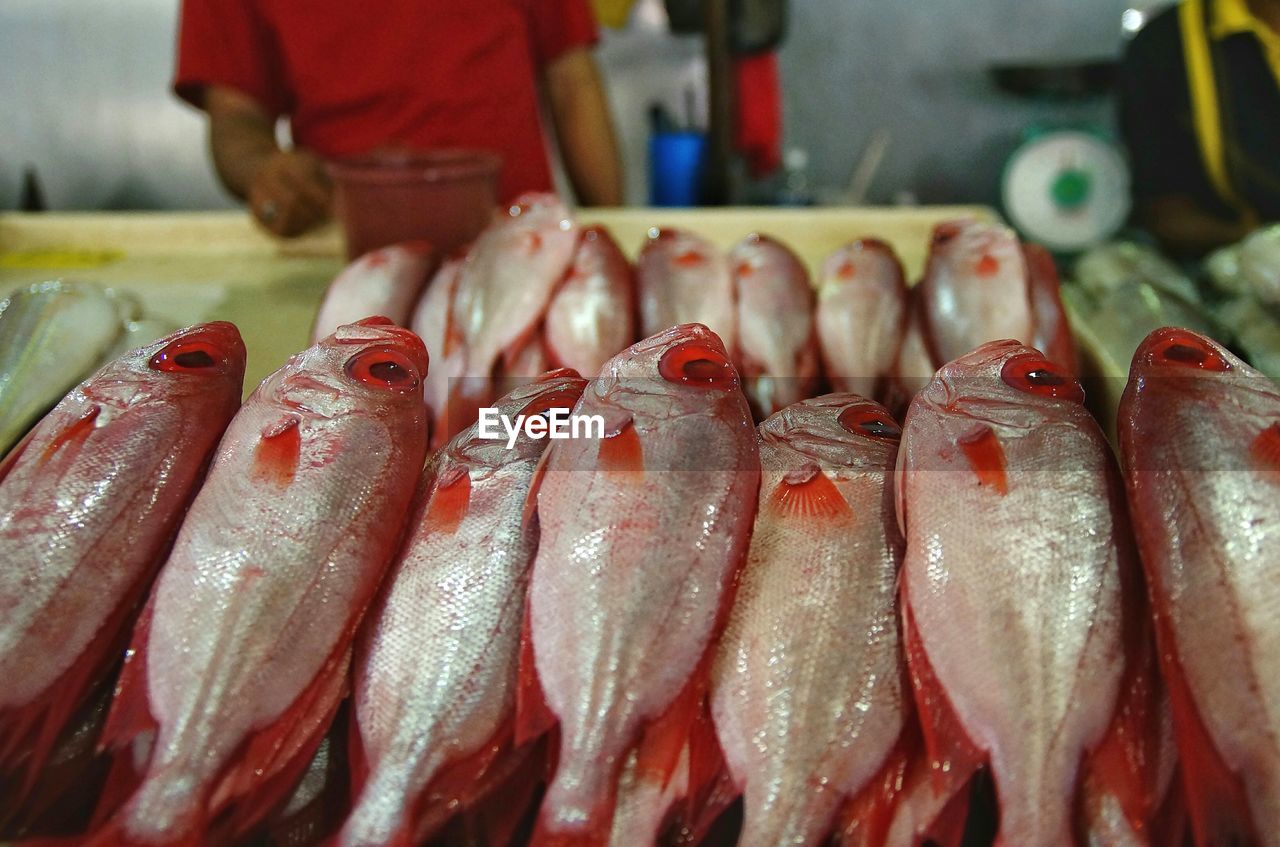 CLOSE-UP OF FISH FOR SALE