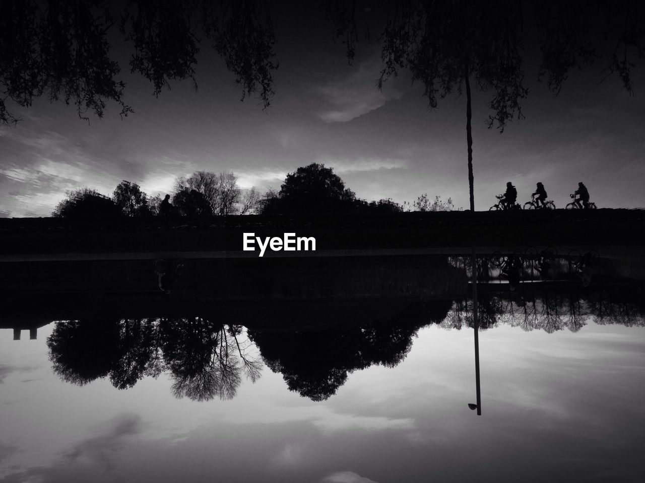 REFLECTION OF TREES IN WATER AT DUSK