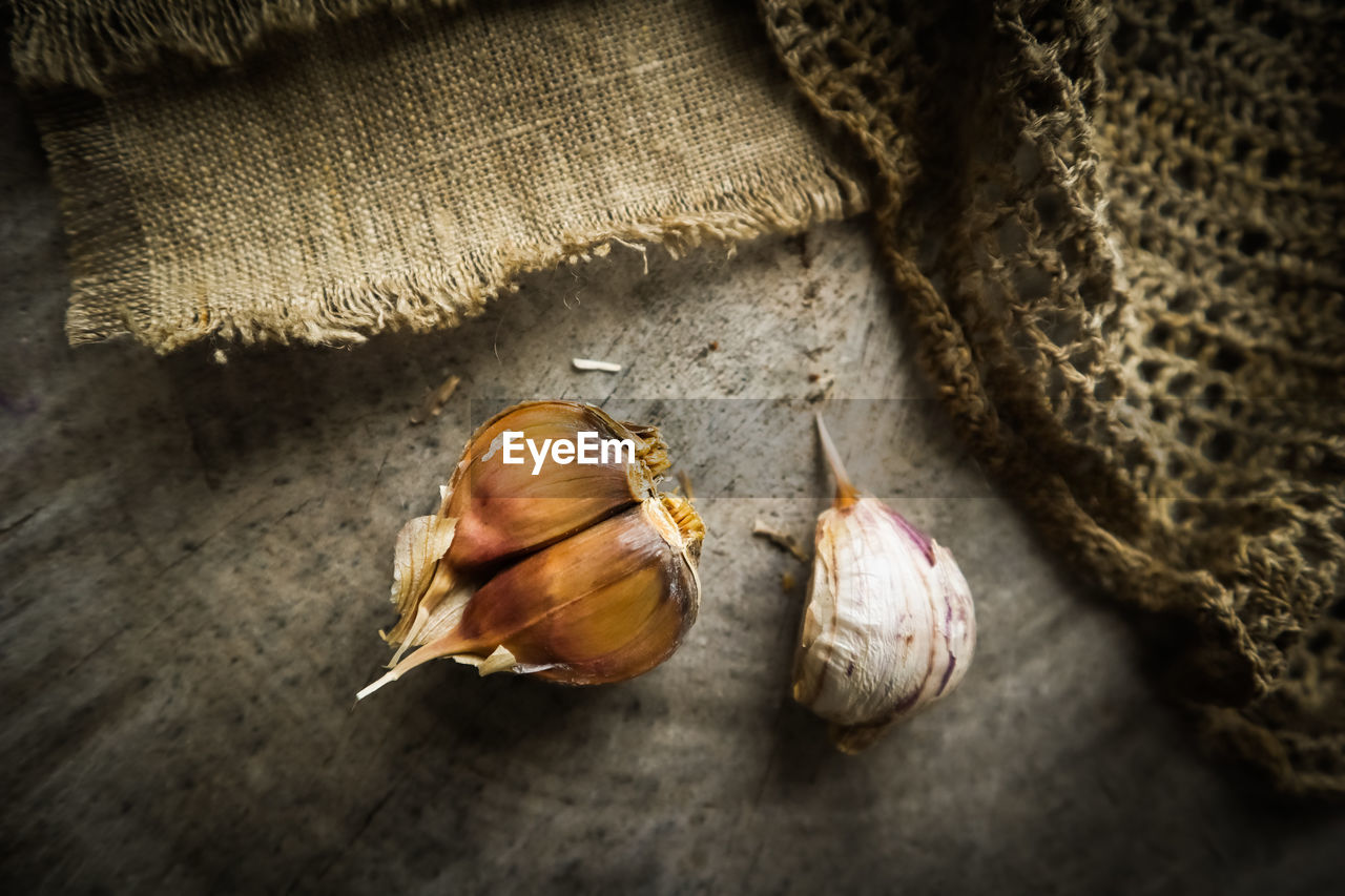 HIGH ANGLE VIEW OF SHELL ON LEAF