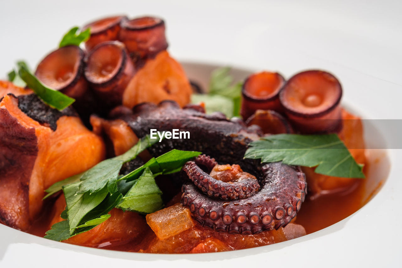 Stewed octopus with parsley and tomatoe sauce close-up