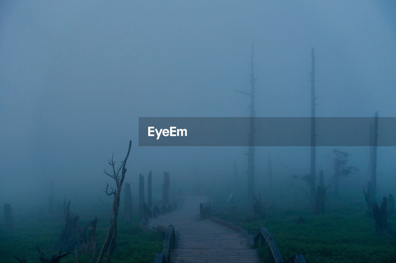 Scenic view of landscape in foggy weather