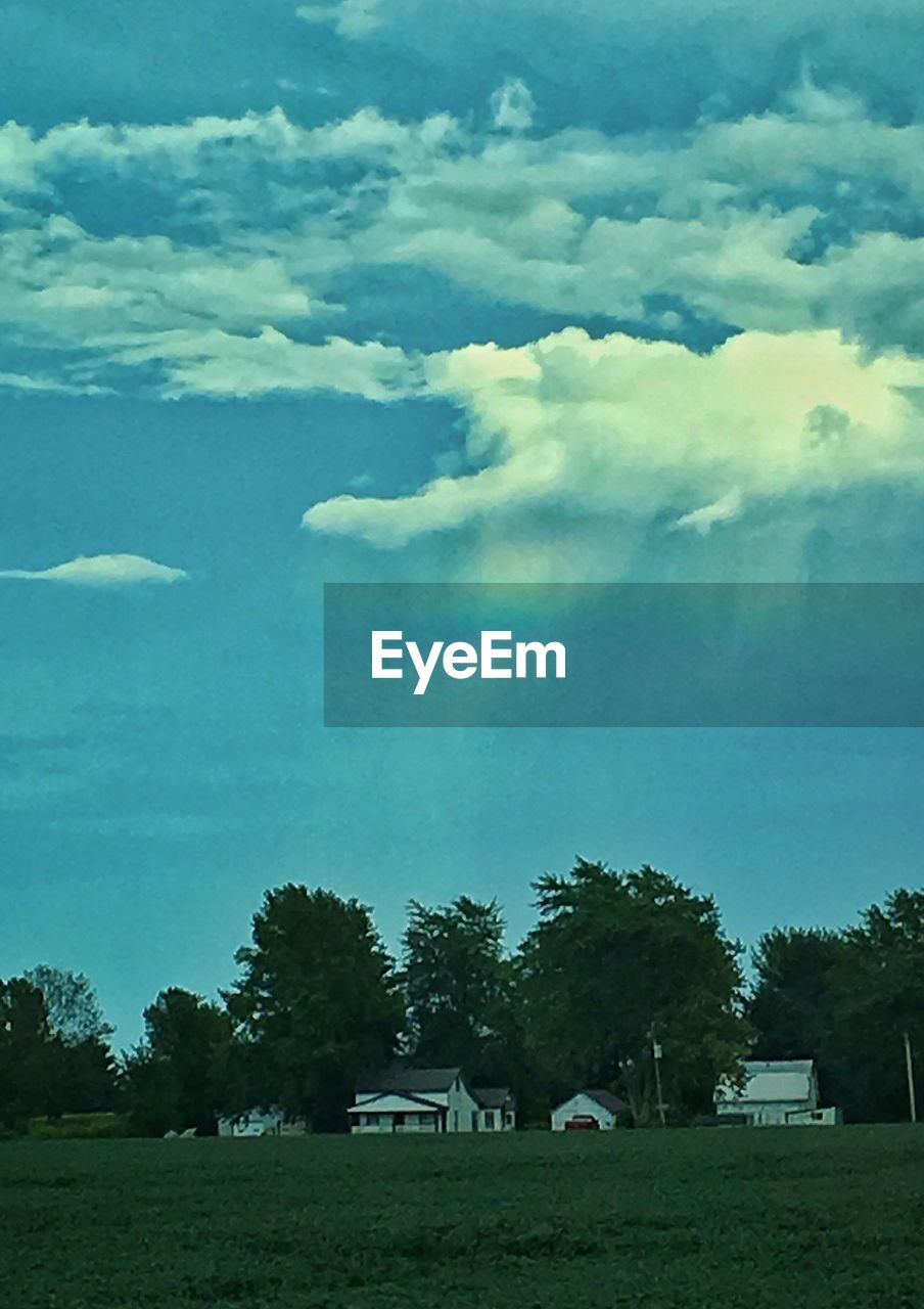 SCENIC VIEW OF TREES AGAINST SKY