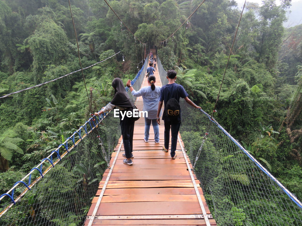 Rear view of men walking on footbridge in forest