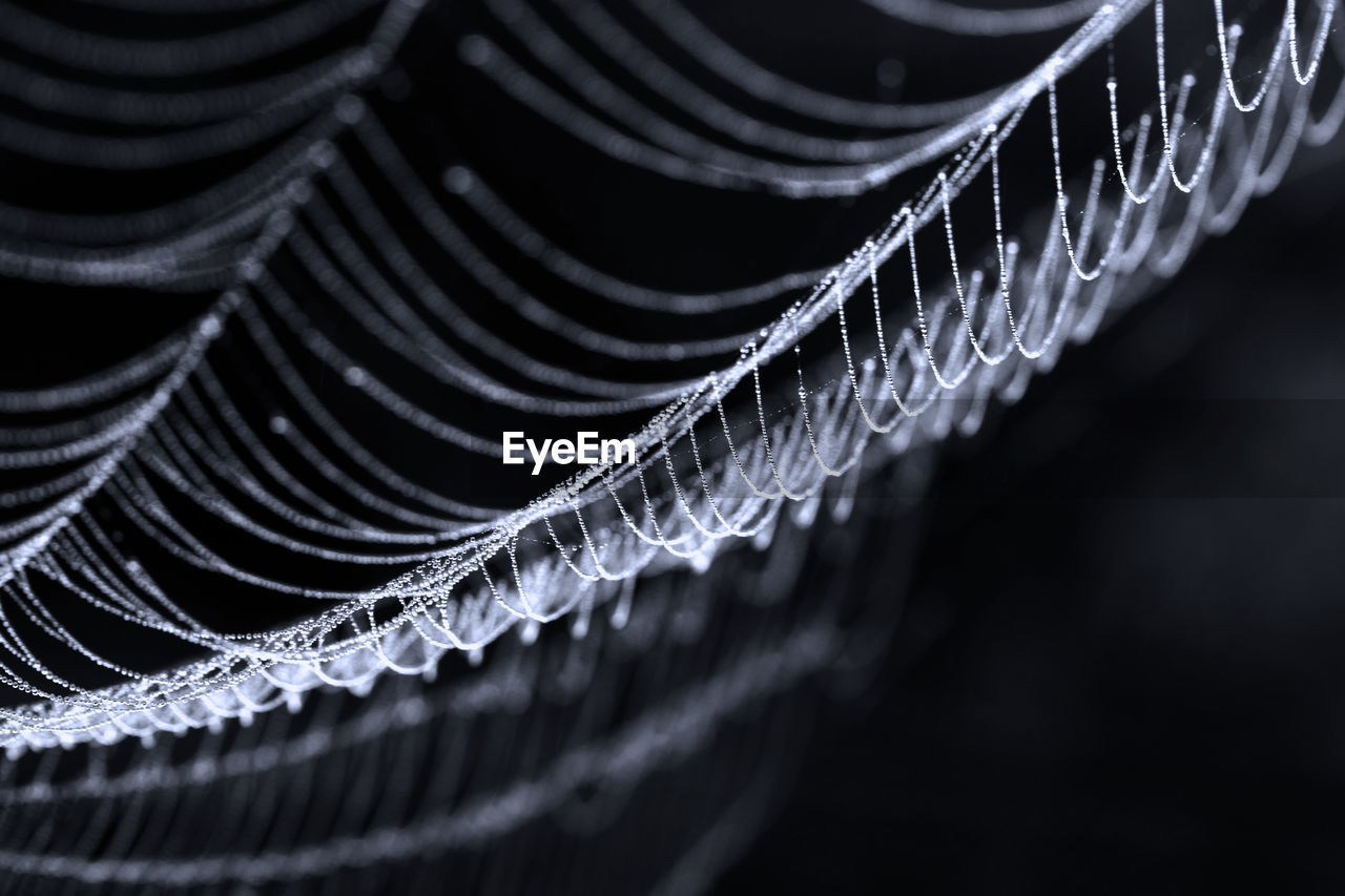 Close-up of spider web on black background