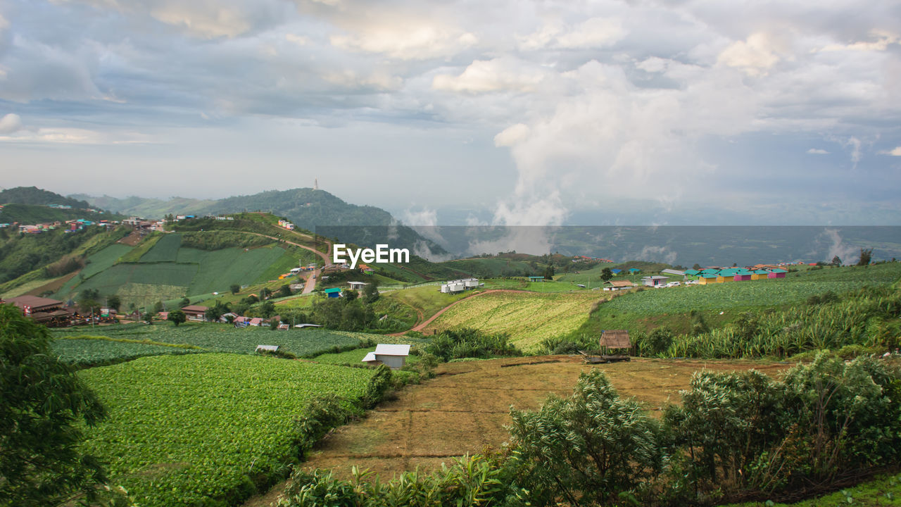 PANORAMIC VIEW OF AGRICULTURAL LANDSCAPE AGAINST SKY