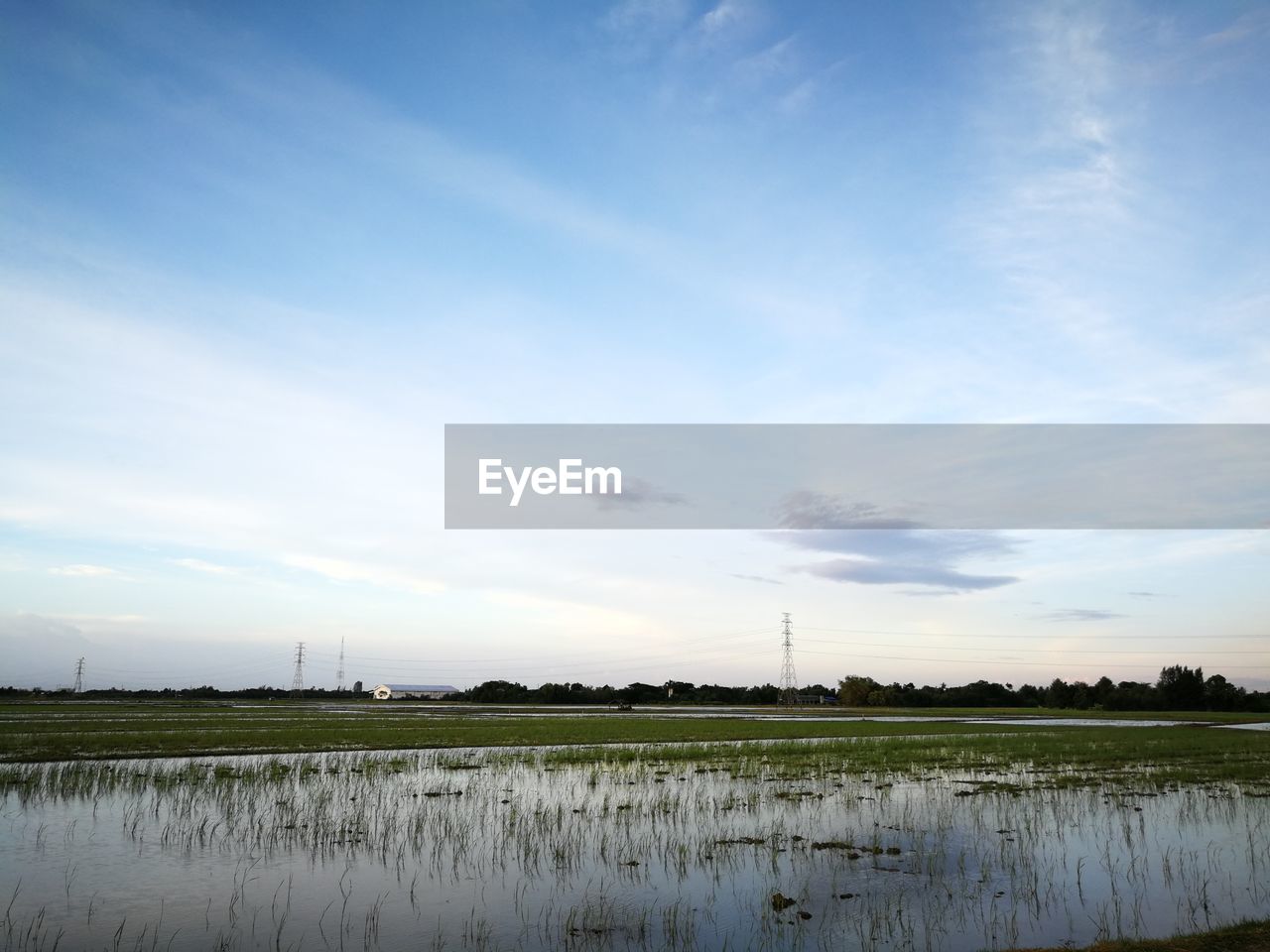 SCENIC VIEW OF FARM AGAINST SKY