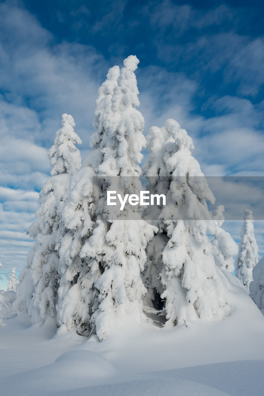 Snow covered land against sky